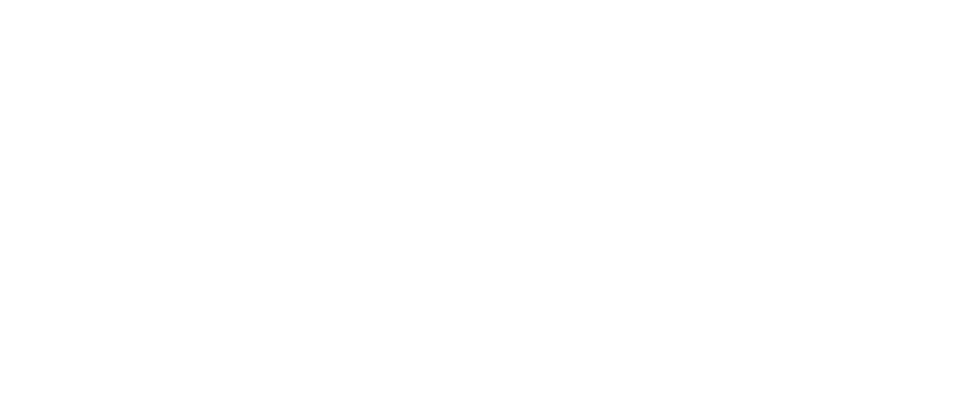 Secret Healer logo