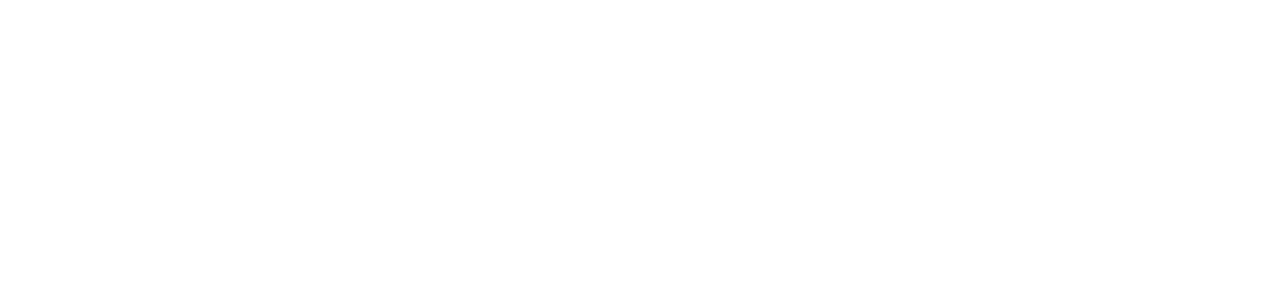 The Night Porter logo
