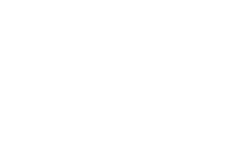 Bad Influencer logo