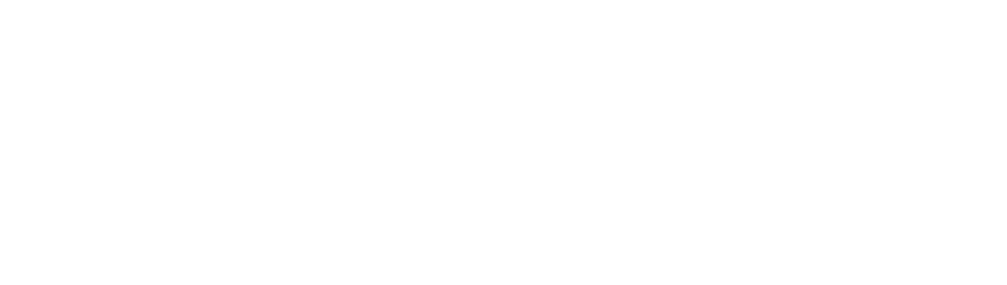 Sense and Sensibility logo
