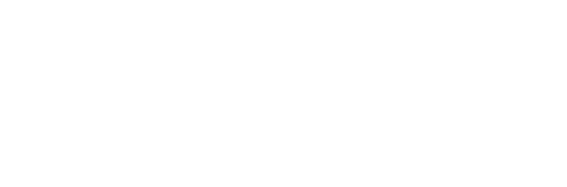 High Seas logo