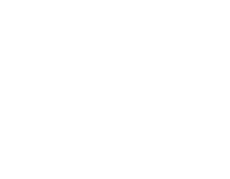 Anne of the Indies logo