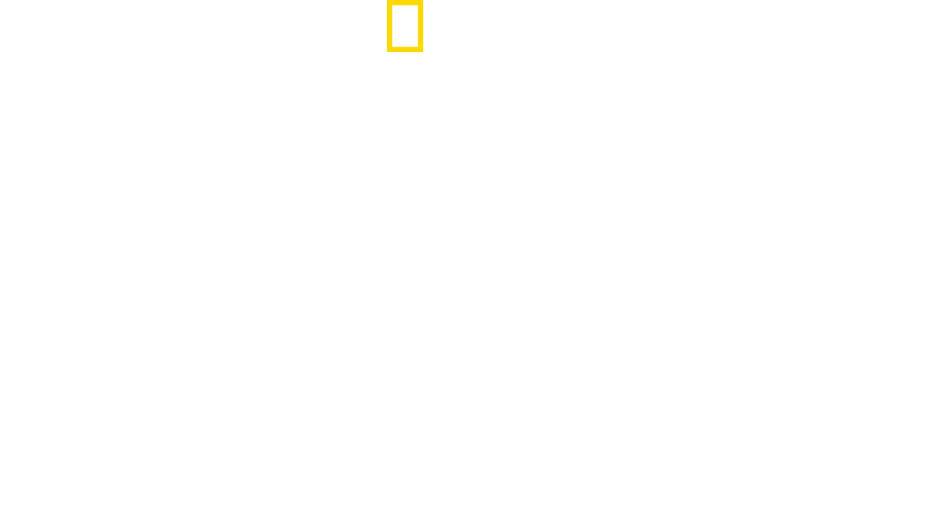Deadly Instincts logo