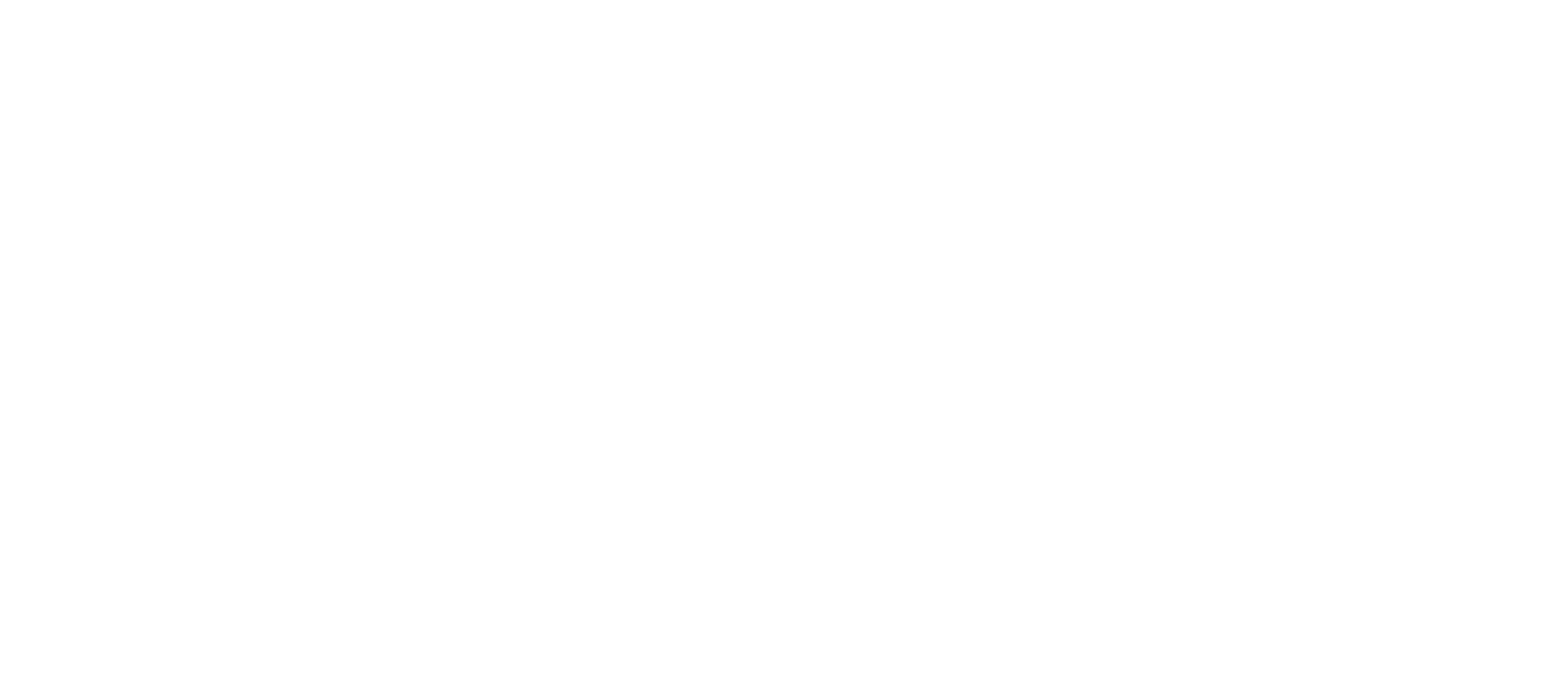 Bondi Rescue logo