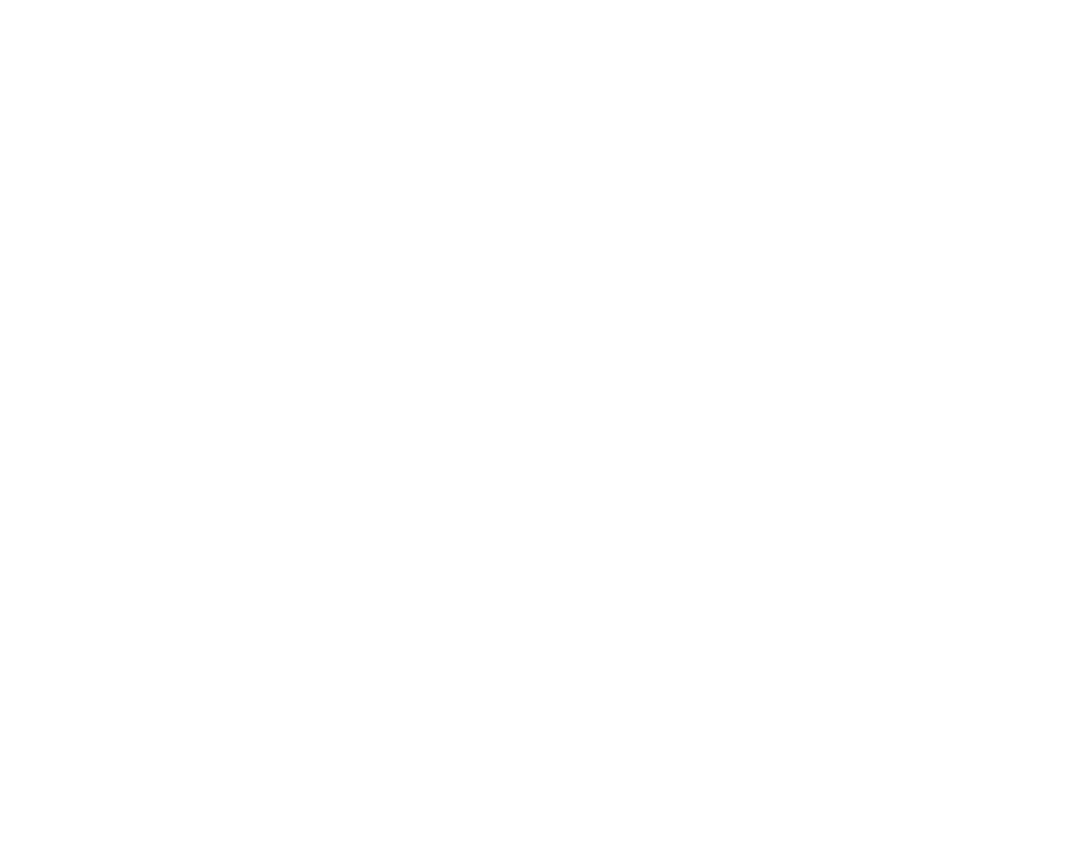 Flee logo