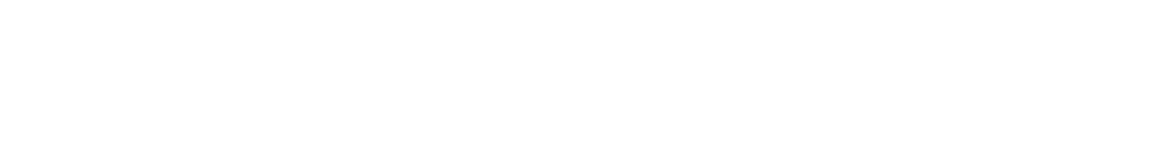 Wild Things logo
