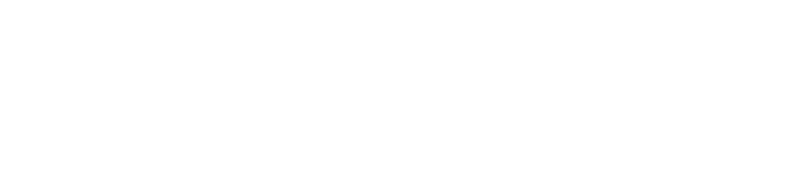 100 Rifles logo