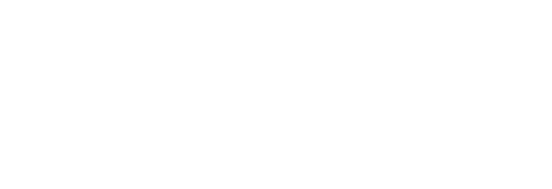Solo logo