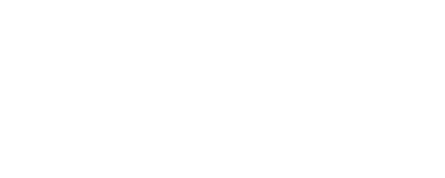 Marshal Tito's Spirit logo