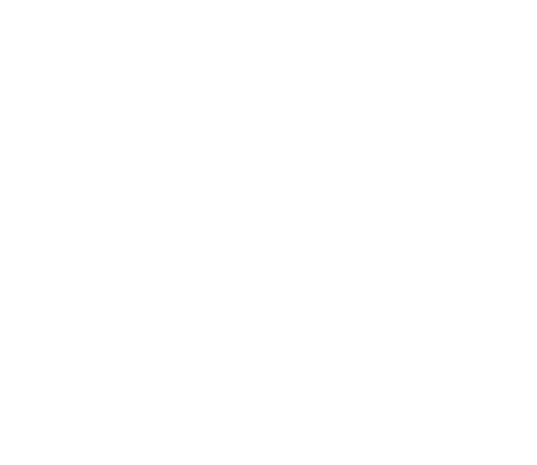 No Minor Vices logo