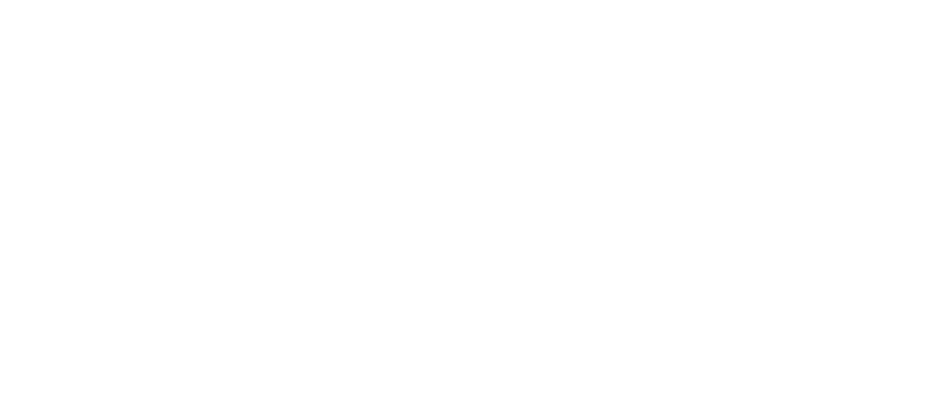 The Dark Wizard logo