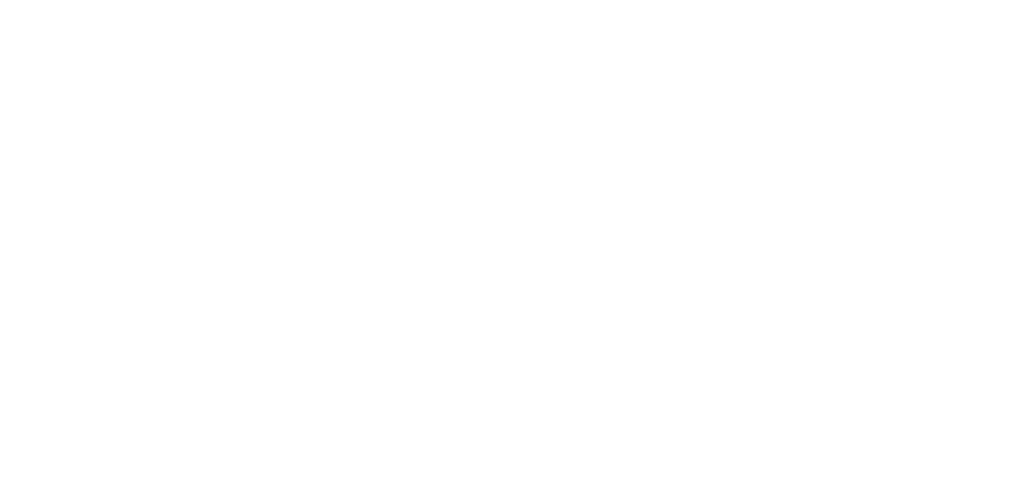 Due South logo
