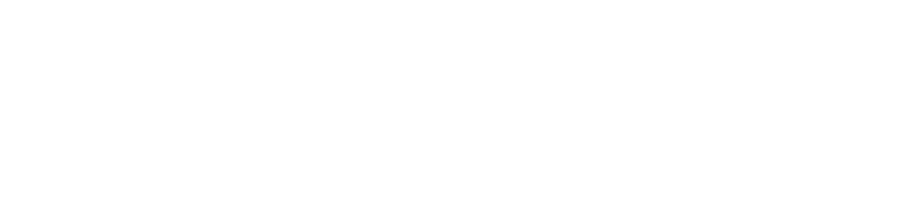 Florence Nightingale logo