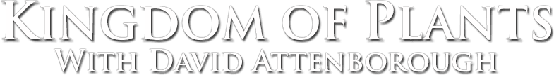 Kingdom of Plants logo