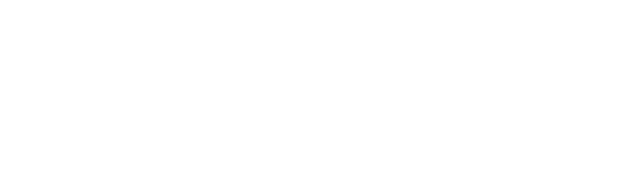 Austin Dillon's Life in the Fast Lane logo
