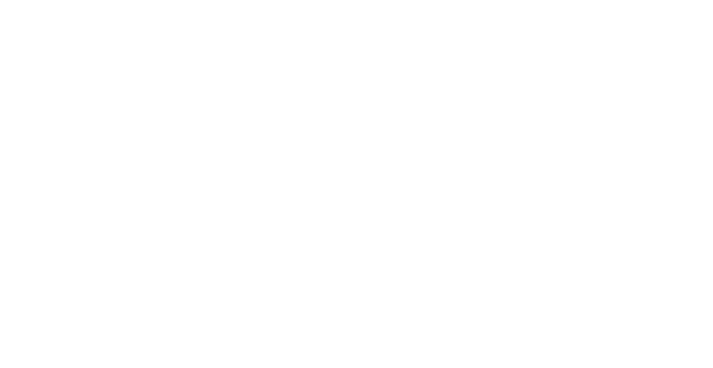 Flip the Strip logo