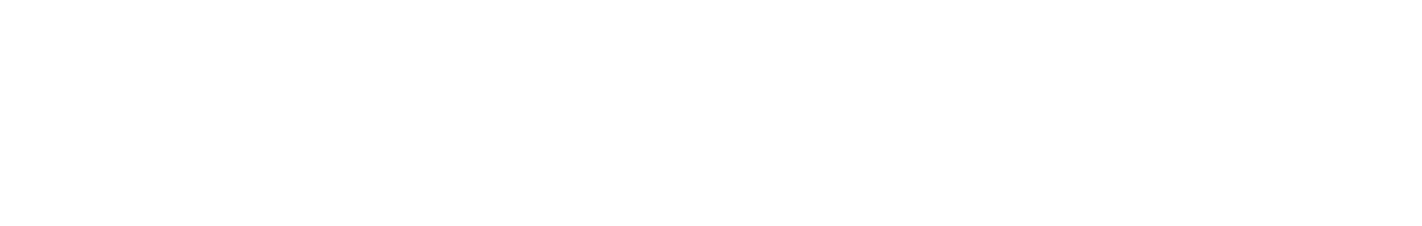 Shtisel logo