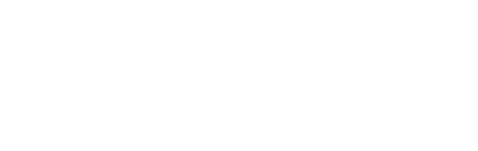 Ladies of Steel logo