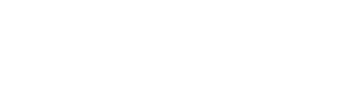 Wasp Network logo