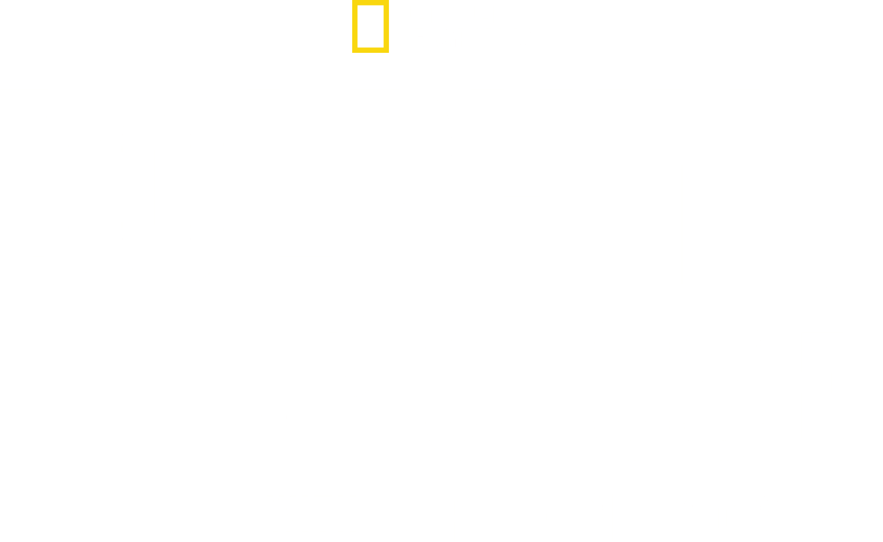 Dolphins Up Close with Bertie Gregory logo