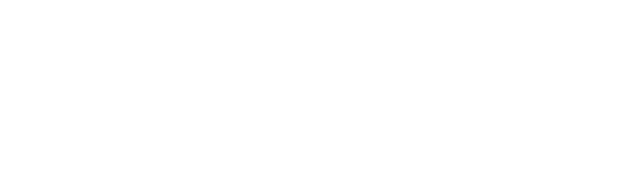 Nemesis logo