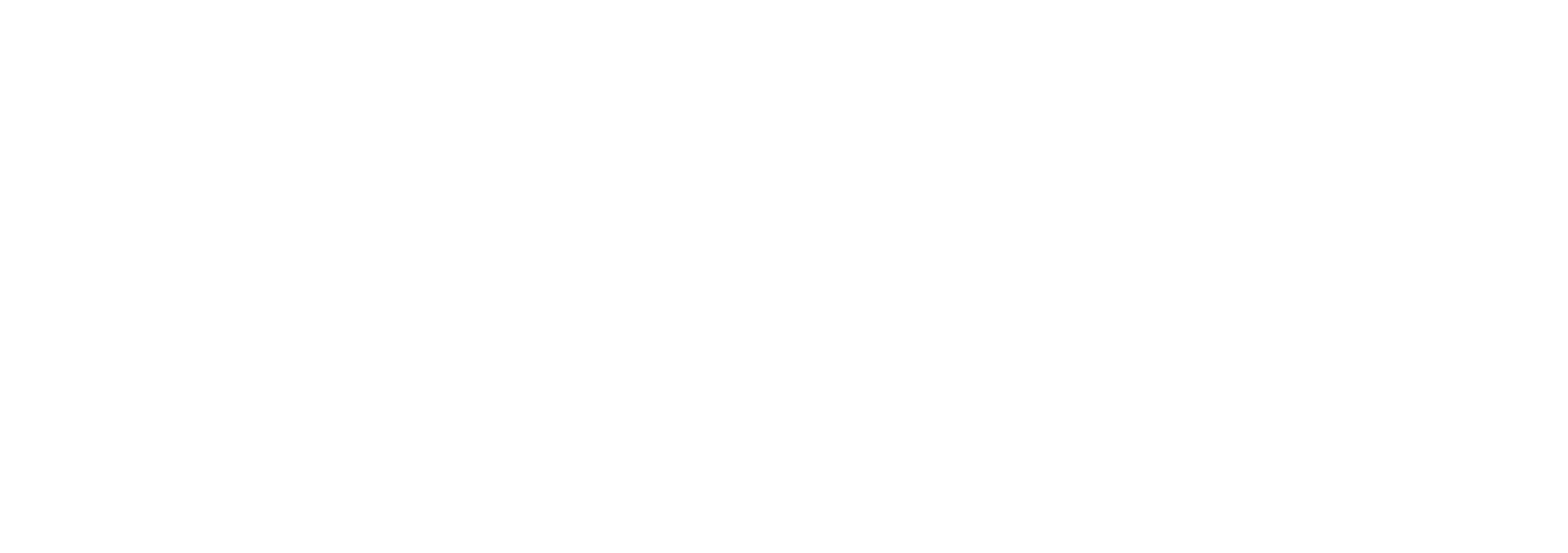 Nazi Town, USA logo