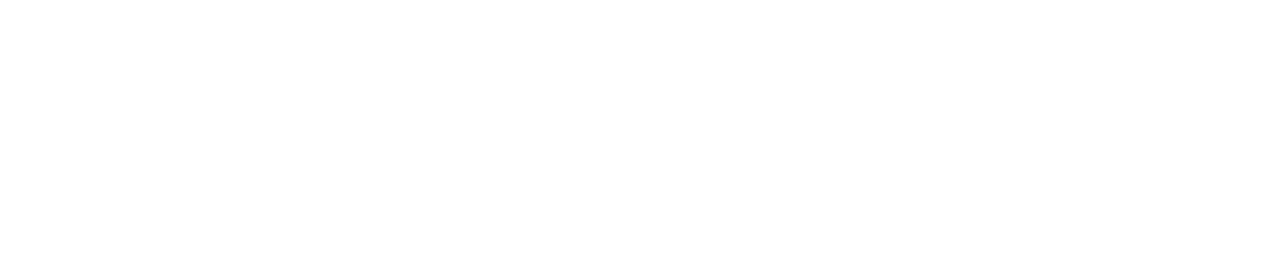 National Treasure logo