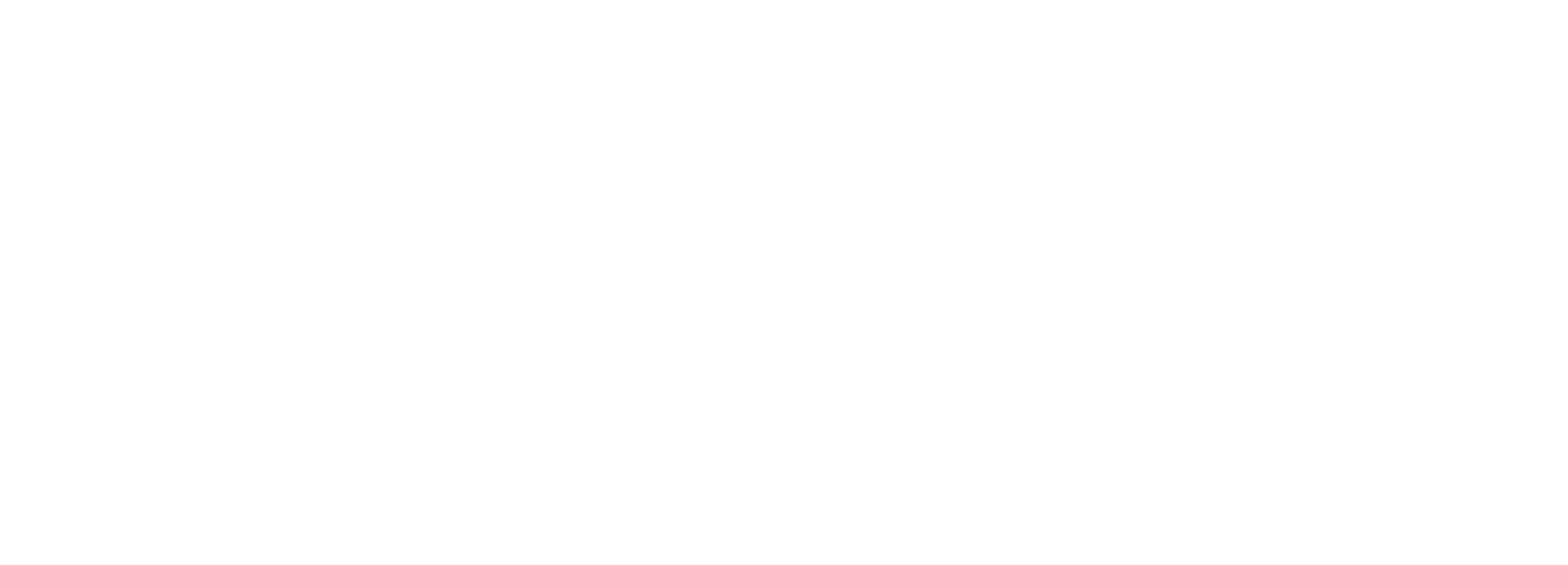 The Falls logo