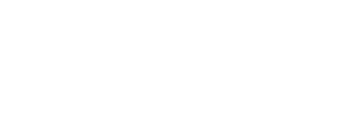 Electric Dragon 80000V logo
