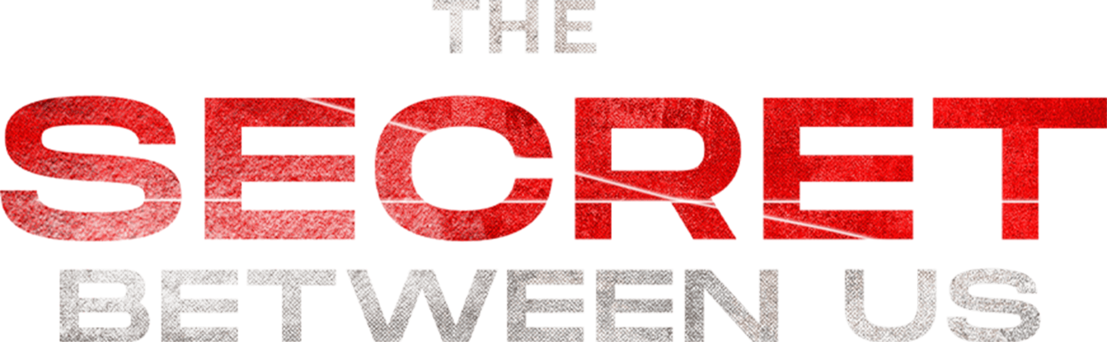 The Secret Between Us logo