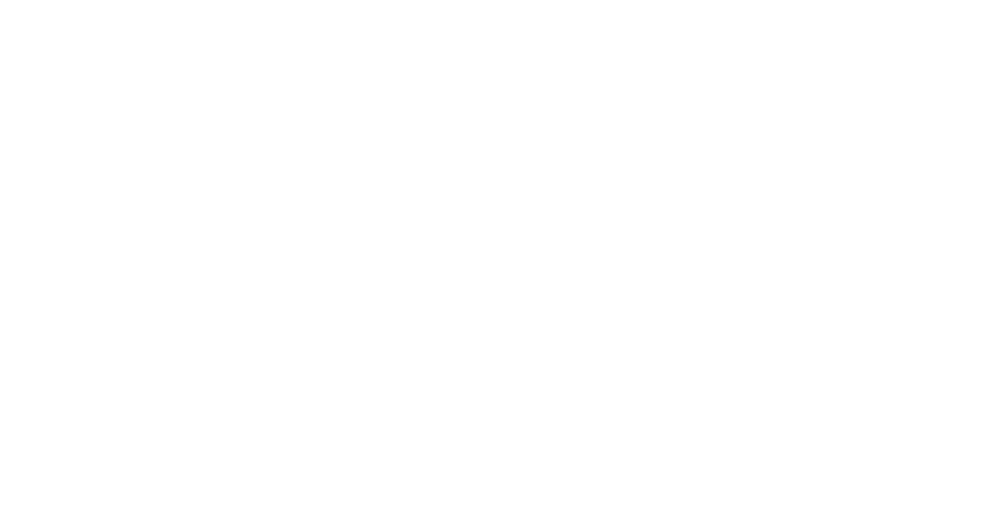 The Dink logo