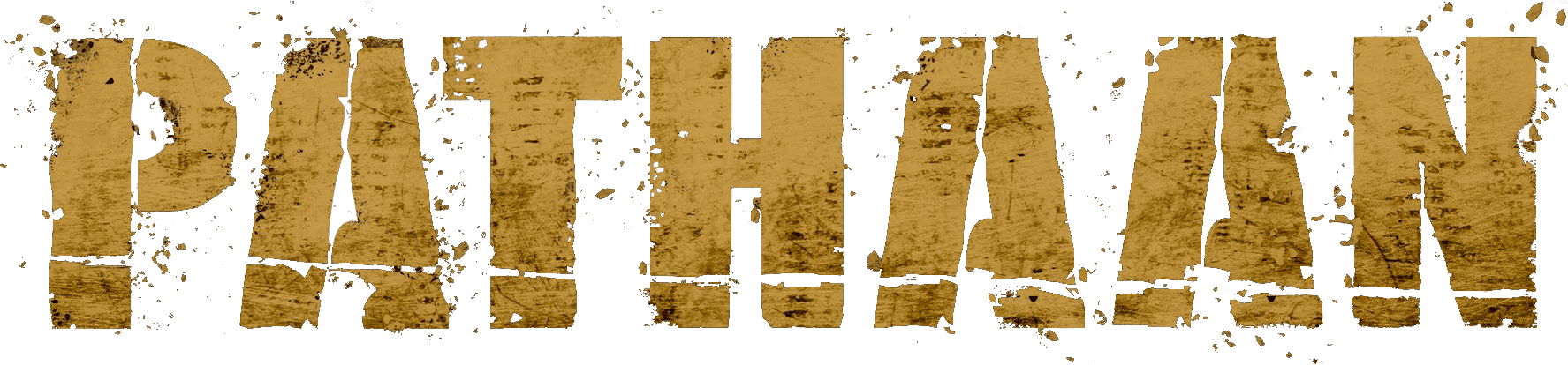 Pathaan logo