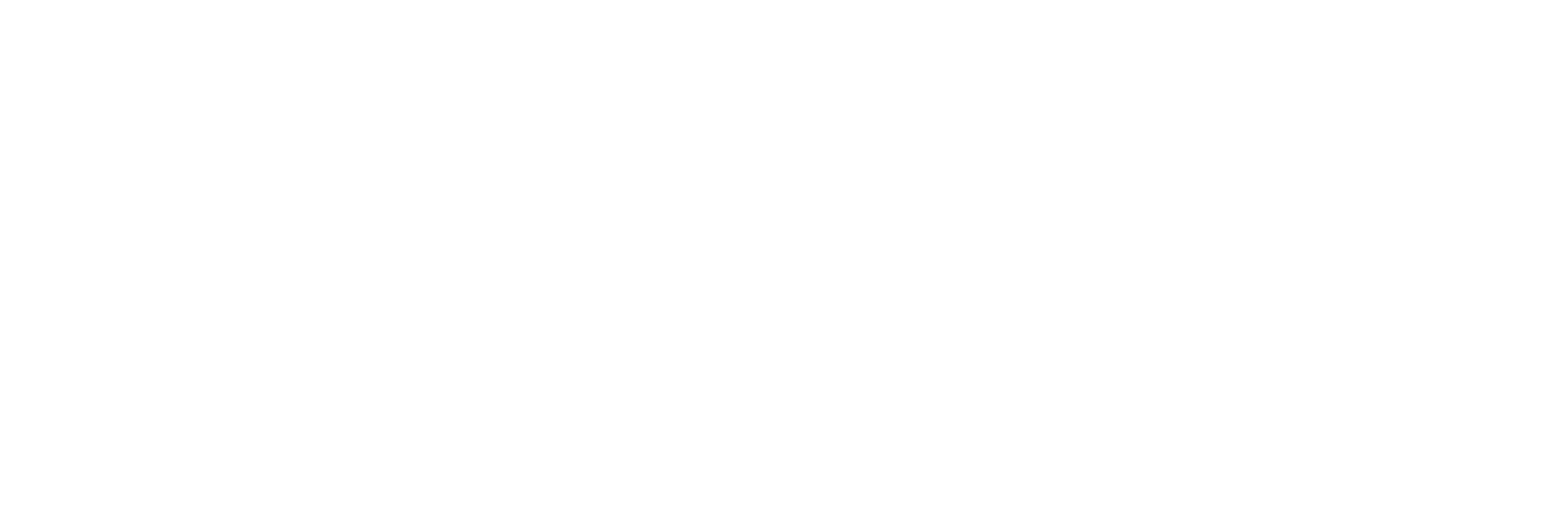 PONIES logo