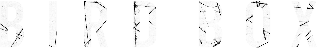 Bird Box logo