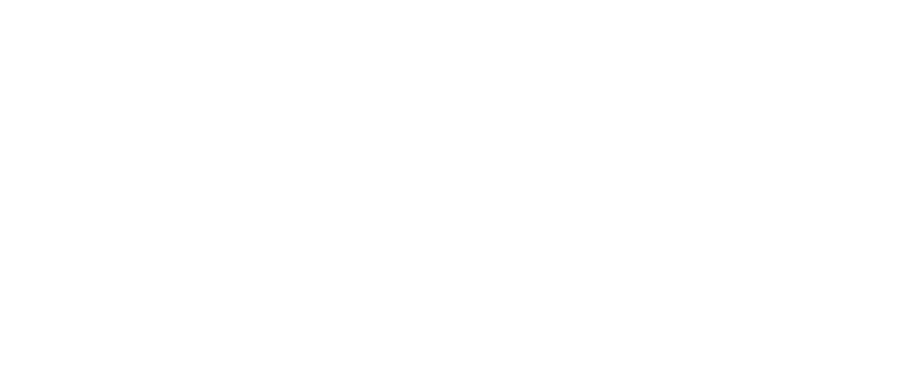 Zodiac logo