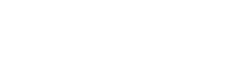 First Knight logo