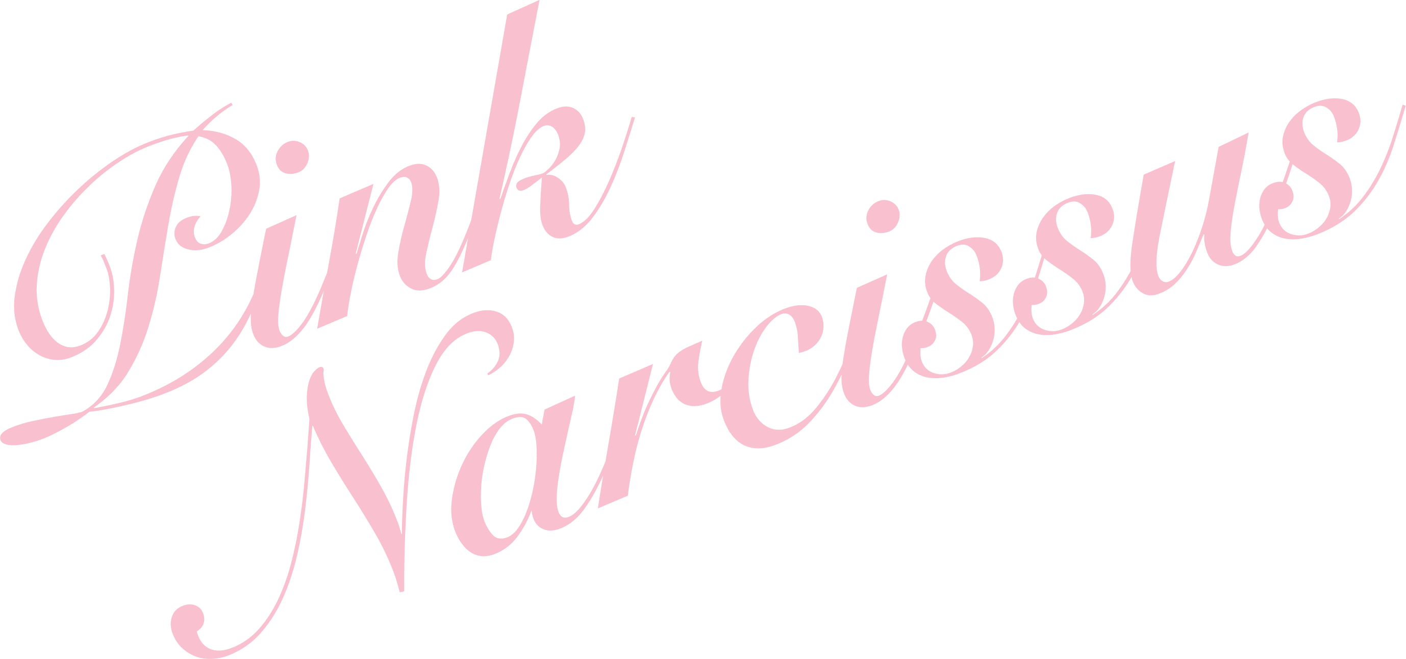 Pink Narcissus logo