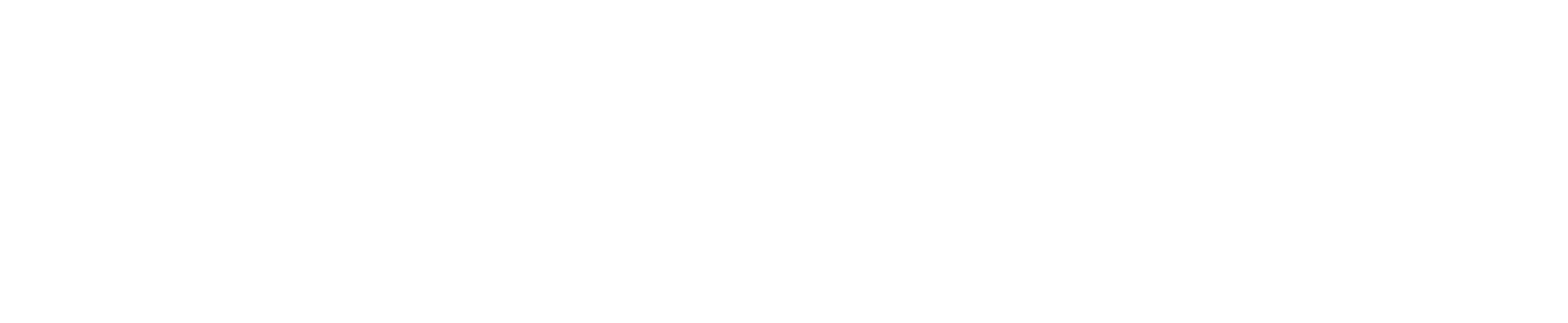 Nimic logo