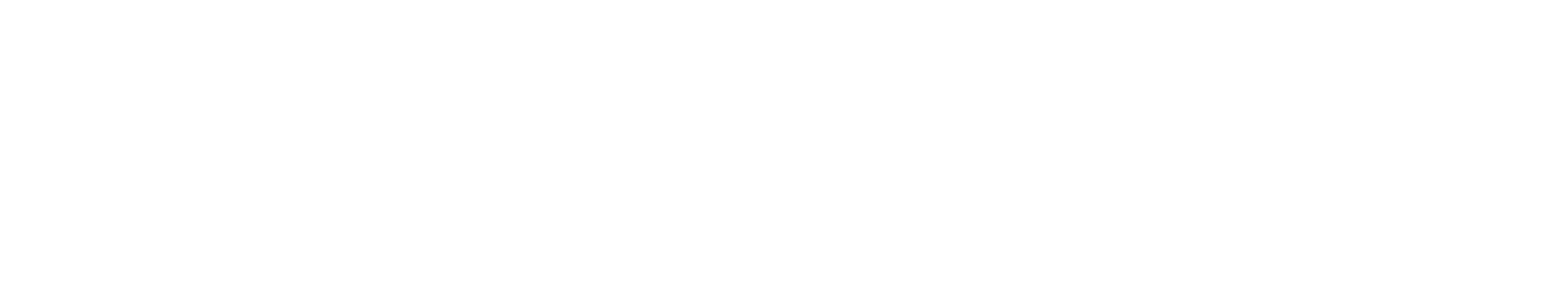 Network logo