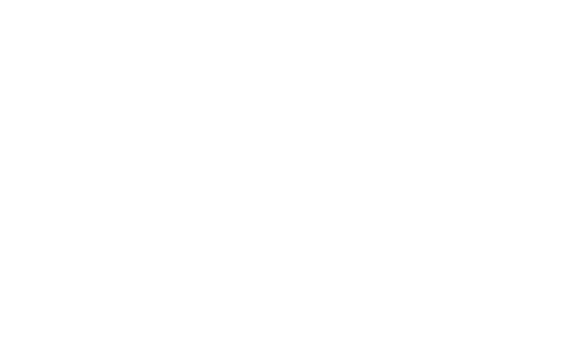 Point Blank logo