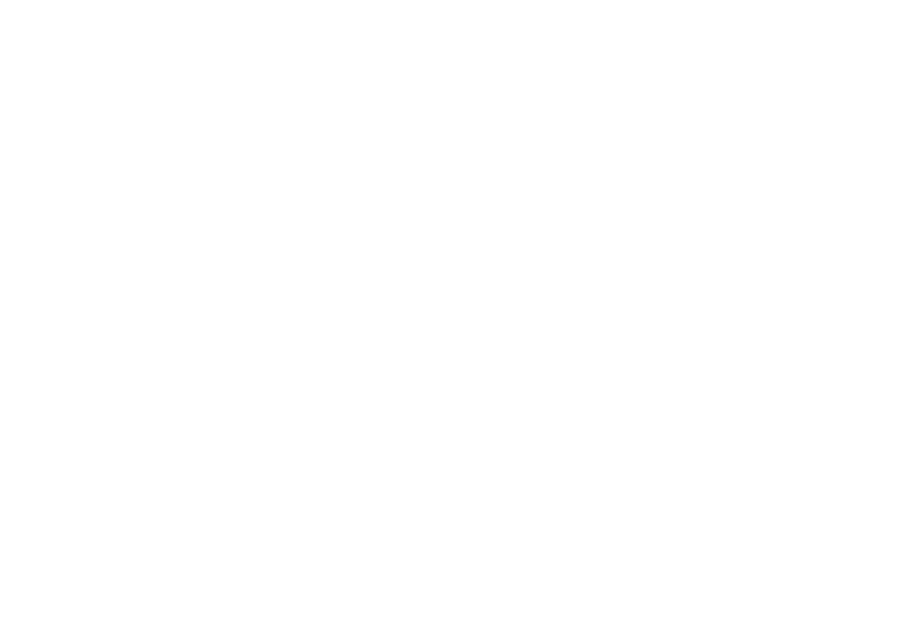 An Ice Palace Romance logo
