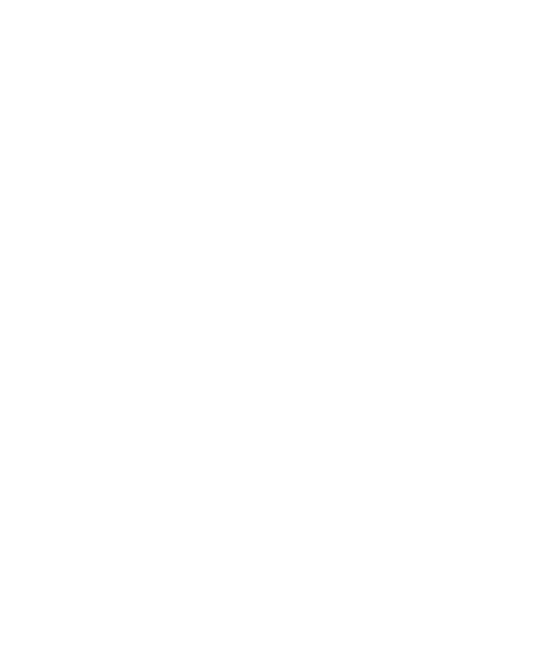 Z logo