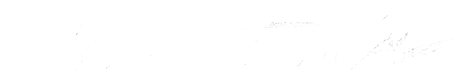 Election 2 logo