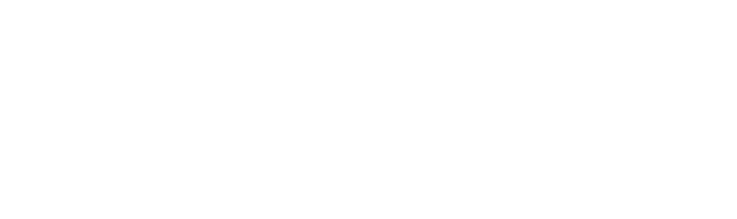 White Nights logo