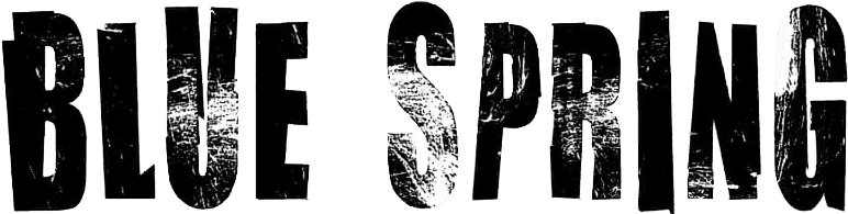 Blue Spring logo