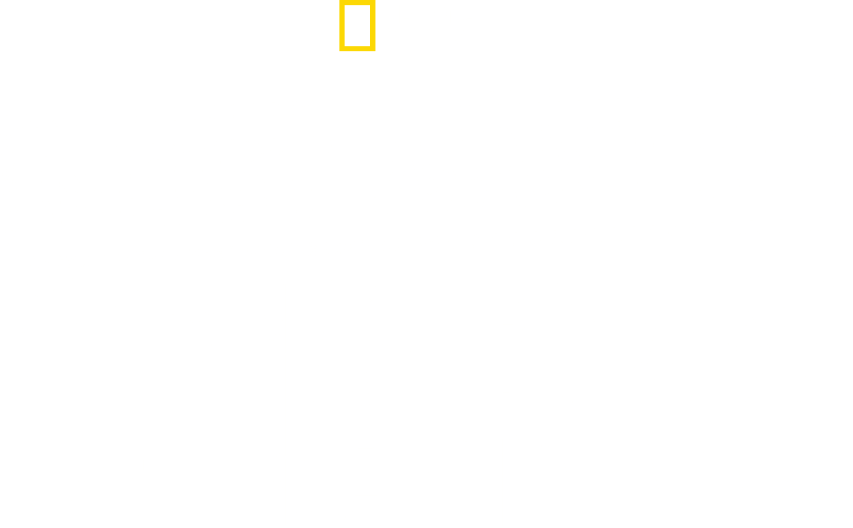 Most Wanted Sharks logo