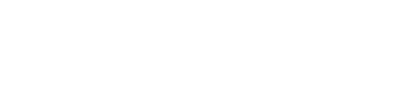 Seoul Vibe logo