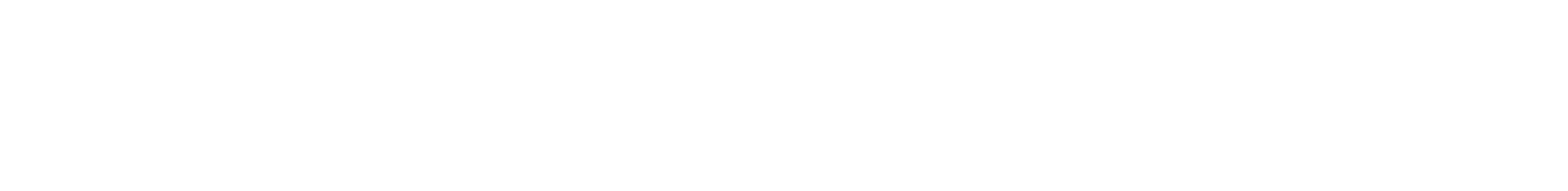 Citadel logo