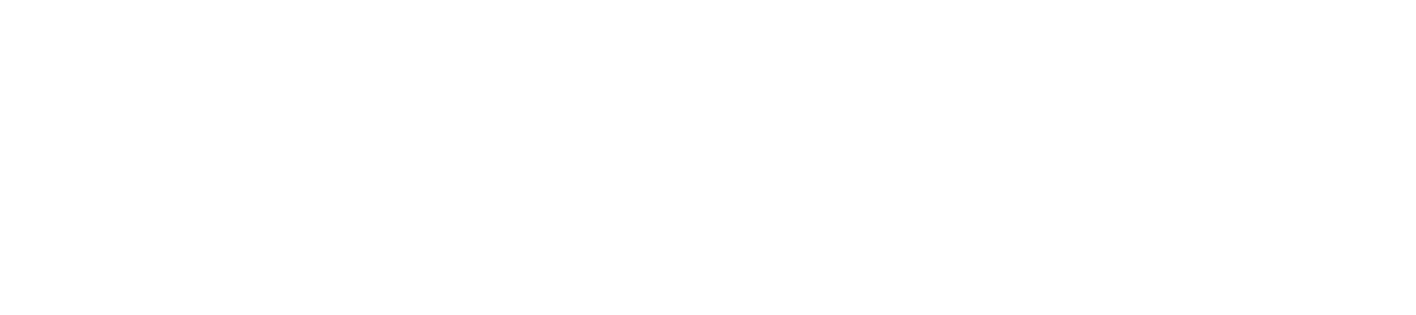 Capricorn One logo