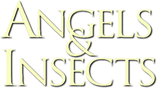 Angels and Insects logo